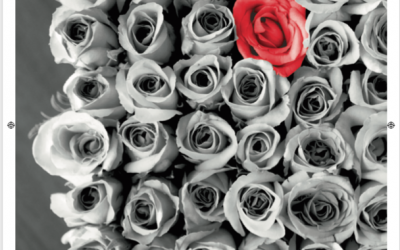 Interview Titelgeschichte Lead Digital “Storyselling”