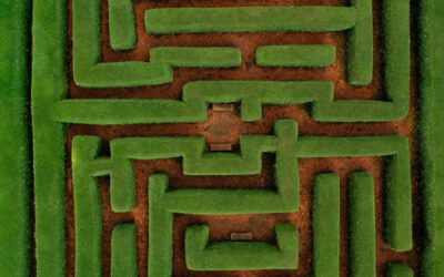 Ohne diese Fehler läuft Sales Automation rund